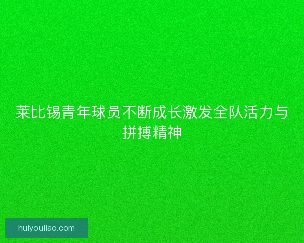 莱比锡青年球员不断成长激发全队活力与拼搏精神 莱比锡青年球员不断成长激发全队活力与拼搏精神